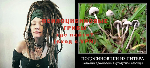 mdpv Балабаново